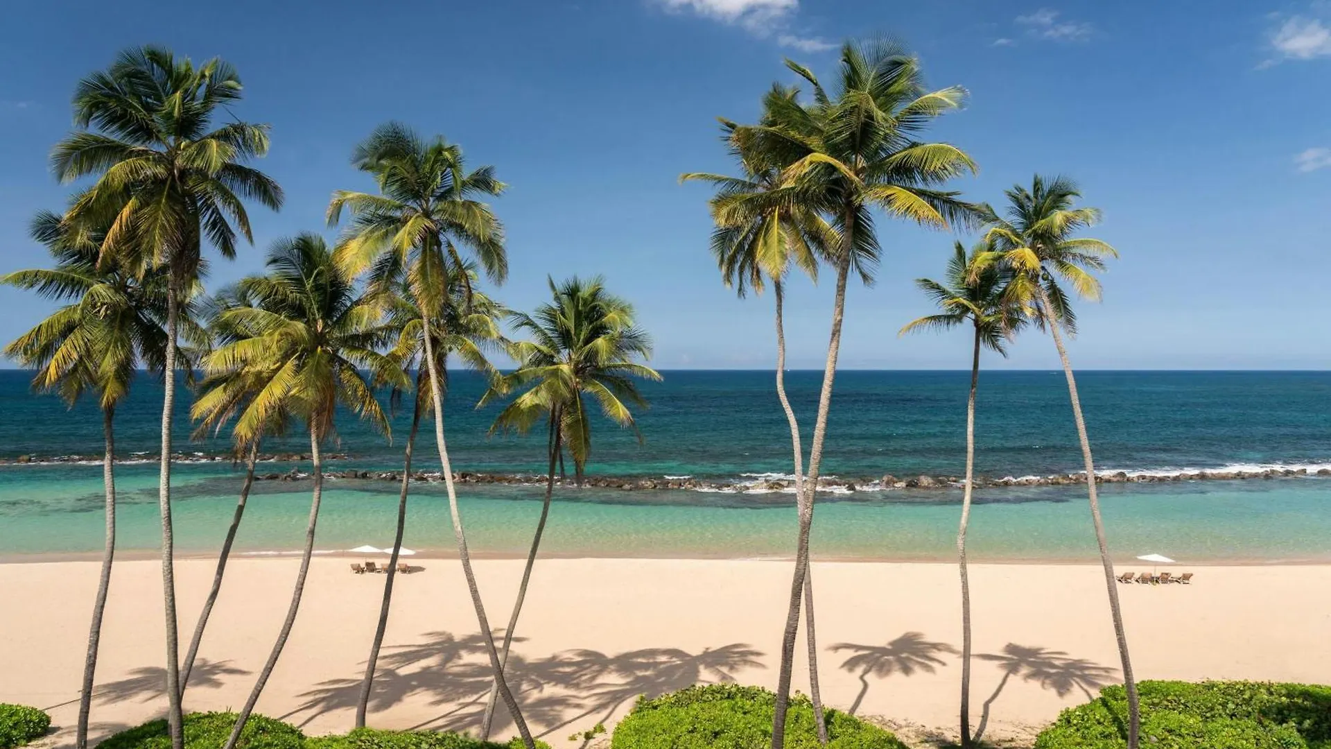 ***** Semesteranläggning (resort) Dorado Beach, A Ritz-Carlton Reserve Puerto Rico